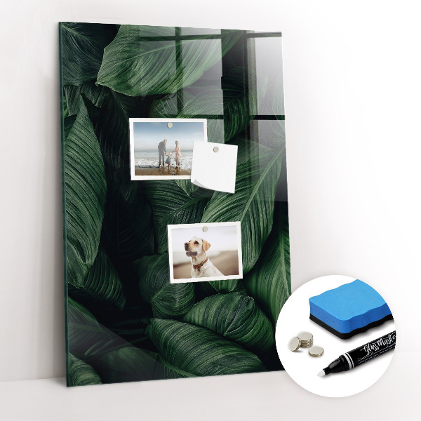 Glass Magnetic Board Jungle Leaves Plants