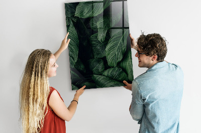 Dry erase magnetic board Jungle Leaves Plants