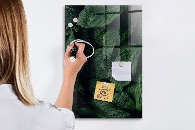 Glass Magnetic Board Jungle Leaves Plants