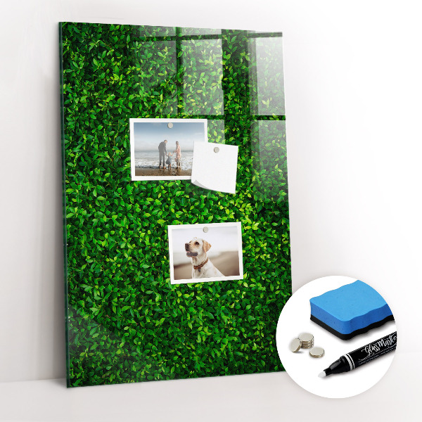 Dry erase board magnetic Fence Leaves Plants
