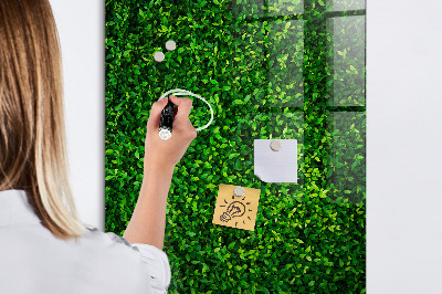 Dry erase board magnetic Fence Leaves Plants