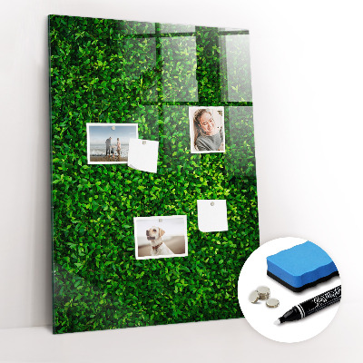 Dry erase board magnetic Fence Leaves Plants