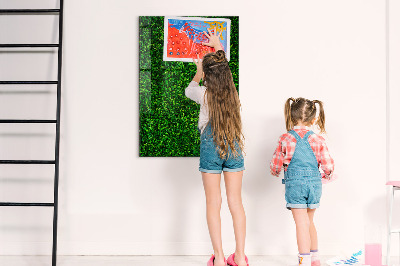 Dry erase board magnetic Fence Leaves Plants