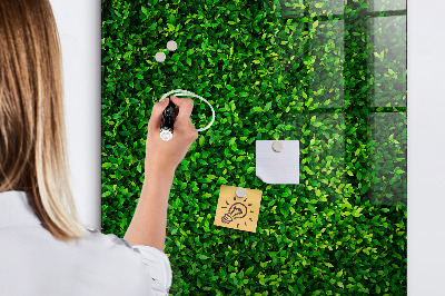 Dry erase board magnetic Fence Leaves Plants
