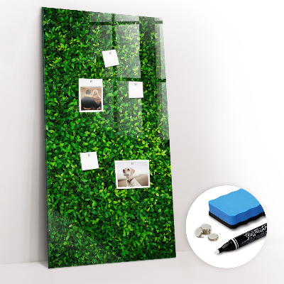 Dry erase board magnetic Fence Leaves Plants