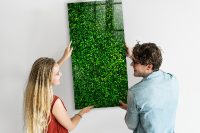 Dry erase board magnetic Fence Leaves Plants
