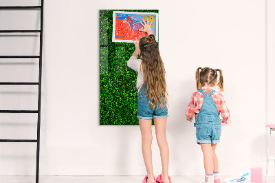 Dry erase board magnetic Fence Leaves Plants