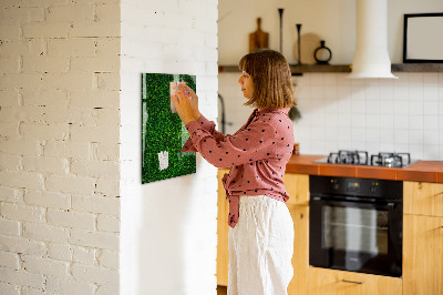 Dry erase board magnetic Fence Leaves Plants