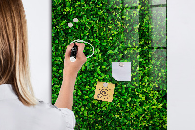 Dry erase board magnetic Fence Leaves Plants