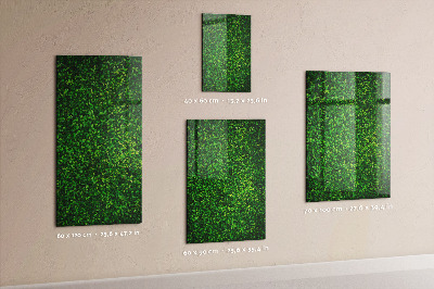 Dry erase board magnetic Fence Leaves Plants
