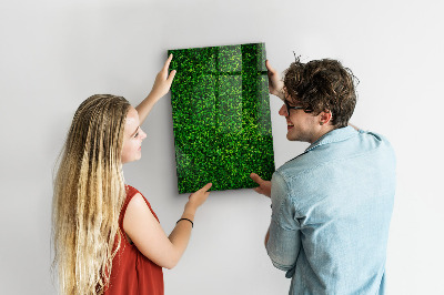 Dry erase board magnetic Fence Leaves Plants