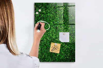 Dry erase board magnetic Fence Leaves Plants