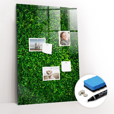 Dry erase board magnetic Fence Leaves Plants