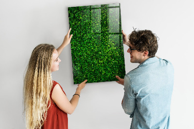 Dry erase board magnetic Fence Leaves Plants