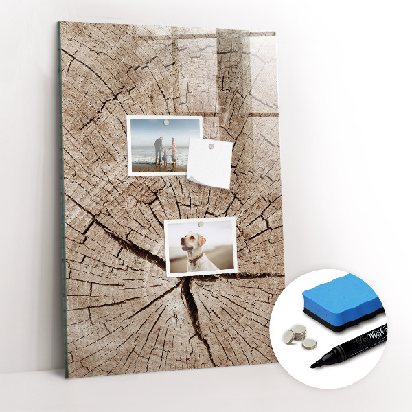 Magnetic marker board Tree cross section