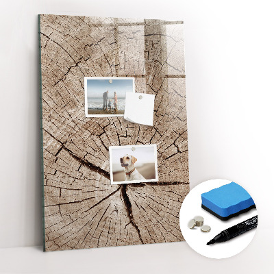 Magnetic marker board Tree cross section