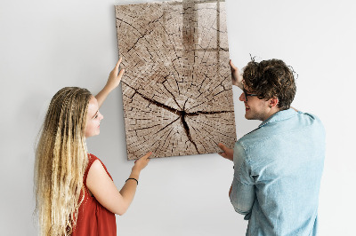 Magnetic marker board Tree cross section