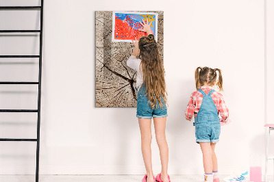 Magnetic marker board Tree cross section
