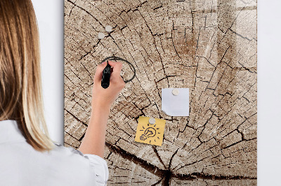 Magnetic marker board Tree cross section