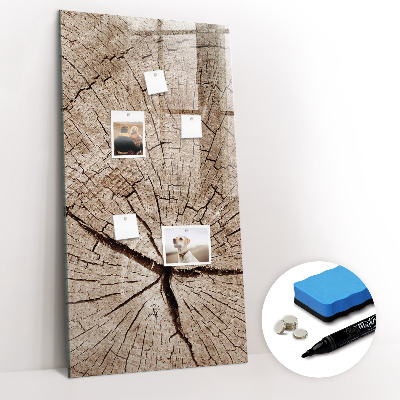 Magnetic board with marker Tree cross section