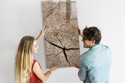 Magnetic marker board Tree cross section