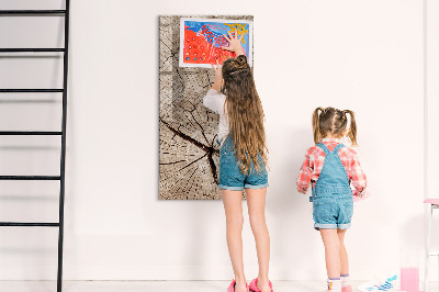 Magnetic marker board Tree cross section