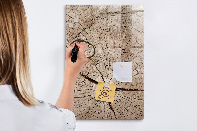 Magnetic marker board Tree cross section