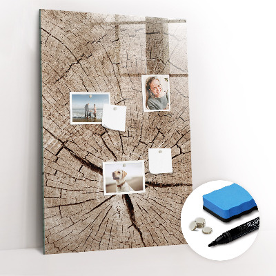 Magnetic marker board Tree cross section