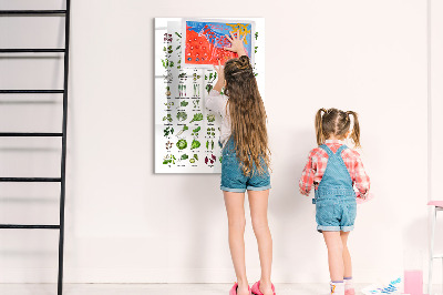 Magnetic writing board Flower Sketch