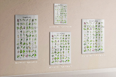 Glass dry erase board magnetic Flower Sketch