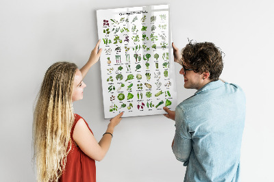 Glass dry erase board magnetic Flower Sketch
