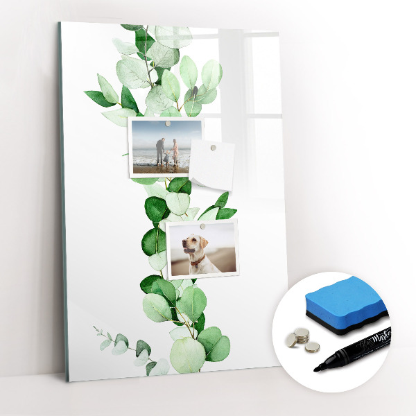 Glass dry erase board magnetic Sandy Bank