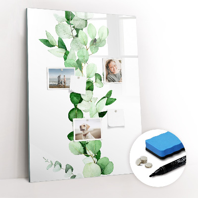 Glass dry erase board magnetic Sandy Bank