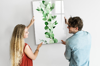 Glass dry erase board magnetic Sandy Bank
