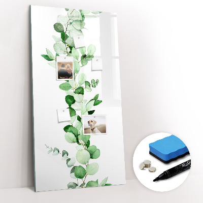Glass dry erase board magnetic Sandy Bank