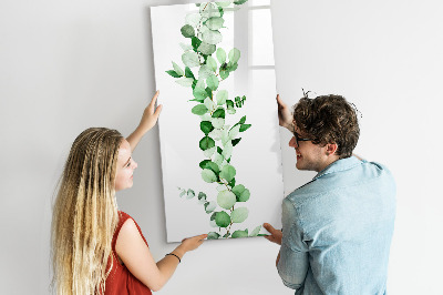 Glass dry erase board magnetic Sandy Bank