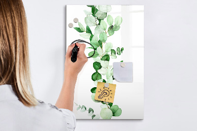 Glass dry erase board magnetic Sandy Bank