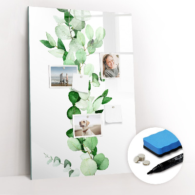 Glass dry erase board magnetic Sandy Bank