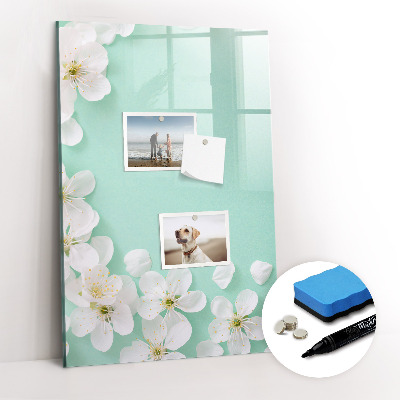 Magnetic marker board Wooden Panels