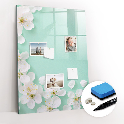 Magnetic marker board Wooden Panels