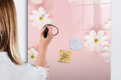 Magnetic marker board Stars