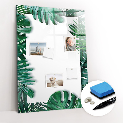 Glass dry erase board magnetic Monstera frame