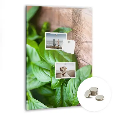 Magnetic glass dry erase board with basil leaves design