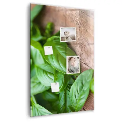 Magnetic glass dry erase board with basil leaves design