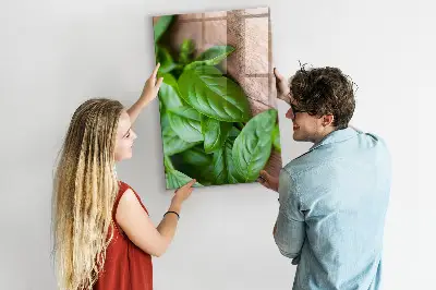 Magnetic glass dry erase board with basil leaves design