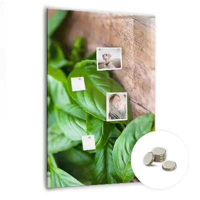 Magnetic glass dry erase board with basil leaves design