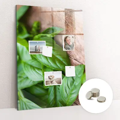Magnetic glass dry erase board with basil leaves design