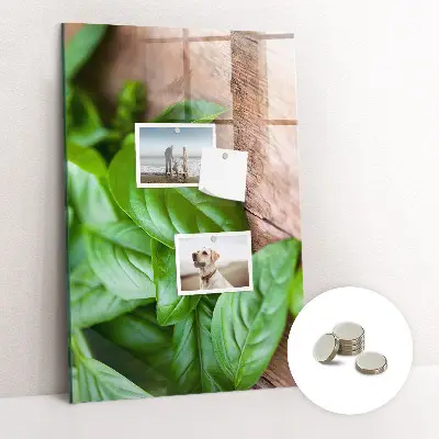 Magnetic glass dry erase board with basil leaves design