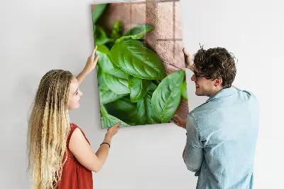 Magnetic glass dry erase board with basil leaves design
