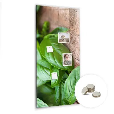 Magnetic glass dry erase board with basil leaves design